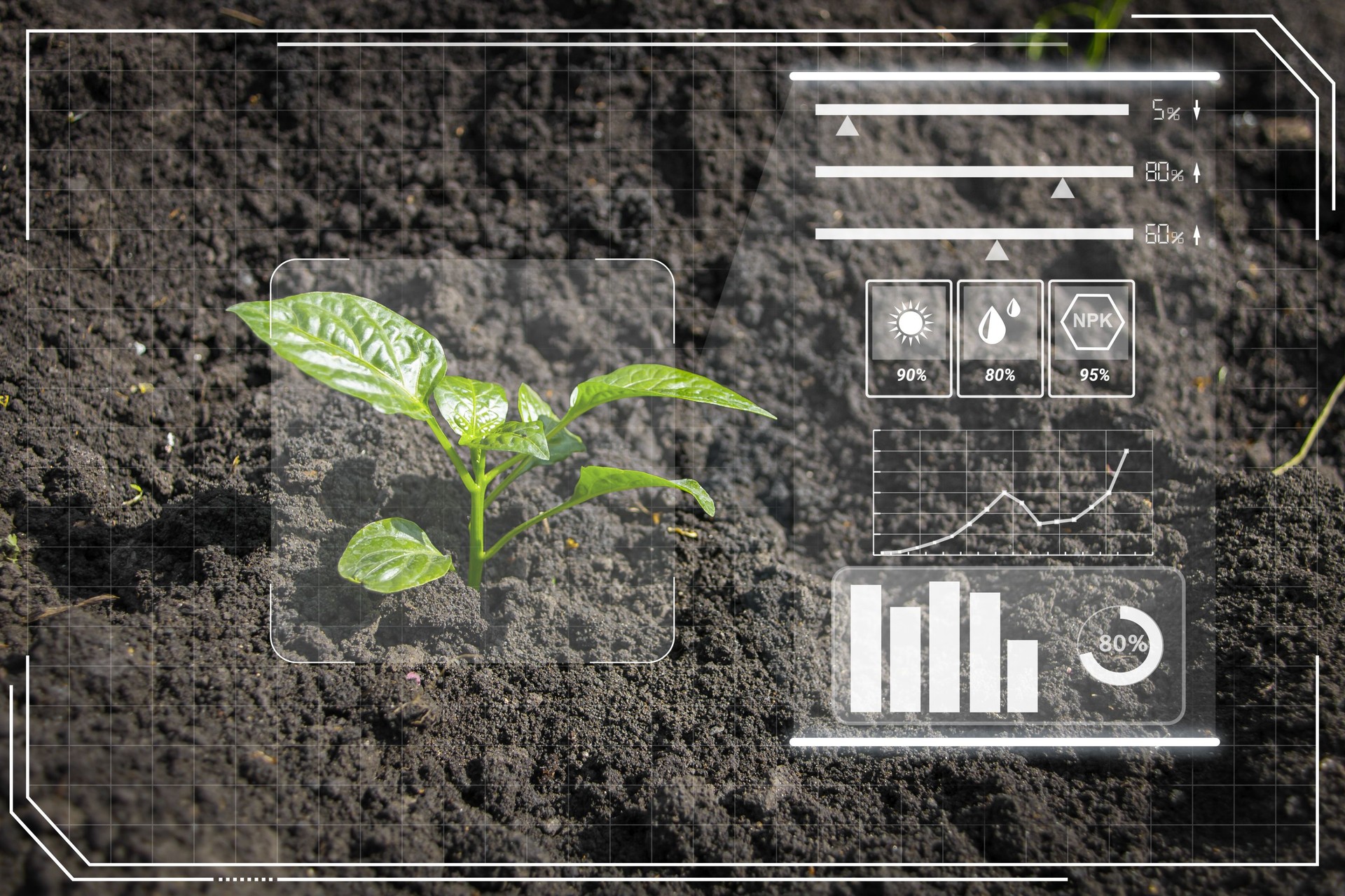 Agricultura moderna e inteligente 4.0, la planta de brote joven crece en el campo con la agricultura tecnológica y muestra iconos cibernéticos