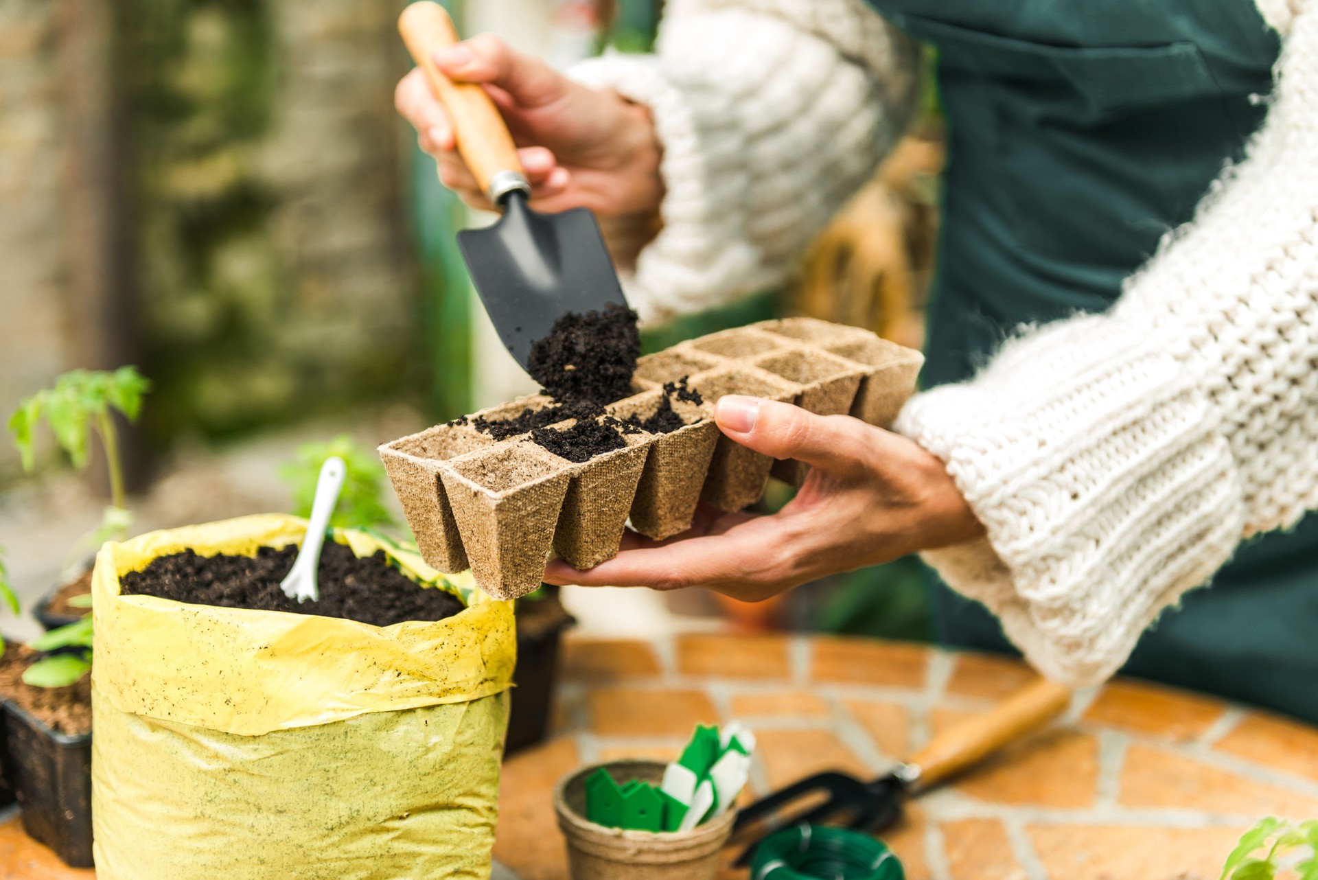 Plantar semillas en macetas biodegradables